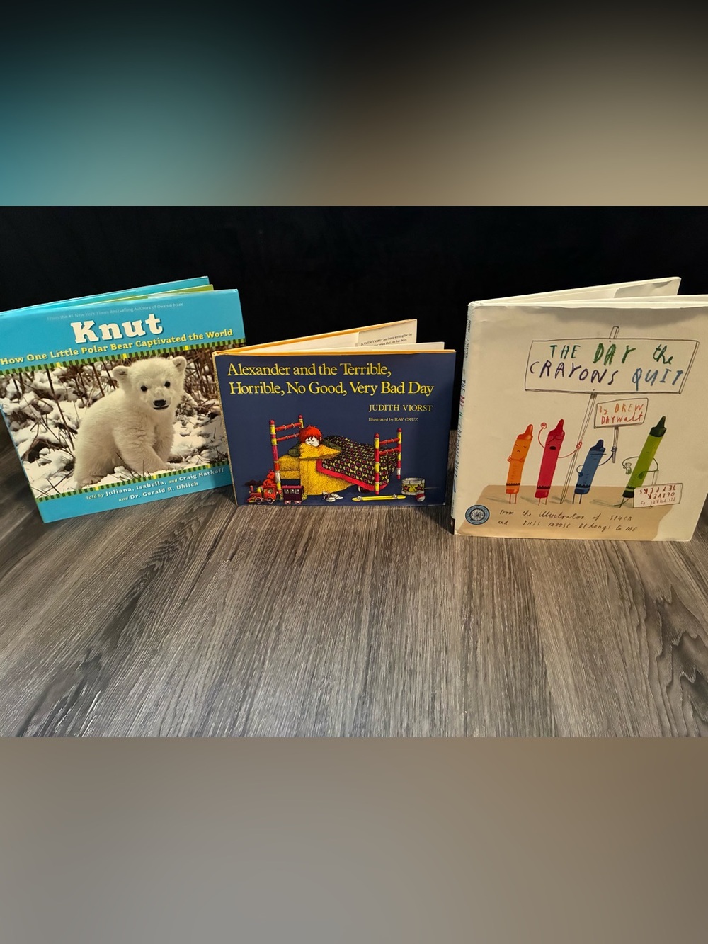 Hard Cover Kids Book Bundle